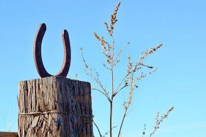 占いコラム│【運命数2】人生の節目！あなたの大切な将来、ズバリどうなる