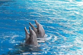 占いコラム│独り身時代にサヨナラ◆属性【水】のあなたの運命の人を超激当て◆