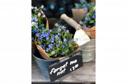 夢占い・夢診断│忘れる夢は何を暗示している？