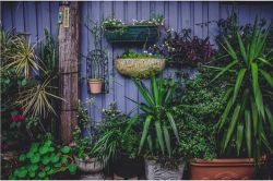 夢占い・夢診断│庭の夢は何を暗示している？