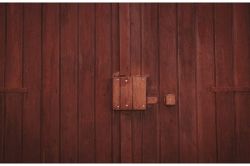 夢占い・夢診断│茶色の夢は何を暗示している？