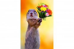 結婚占い(婚活占い)│【ジューン・ブライド特集】《カルマ解読結婚占》あの人の中に浮かぶ、あなたとの結婚についての本音