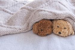 相性占い(相性診断)│【辛さMAX】恋の相性キッパリ言い当て！あなたは好きな人と恋人になれる？