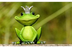 人生占い│早く気づいて！　あなたがもっている“才能”