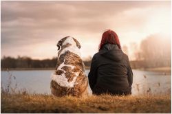 結婚占い(婚活占い)│あなたが恋愛から遠くなっているのは、これが原因です