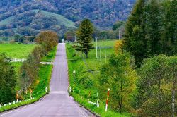 人生占い│【運命を紐解きます！】今、あなたの人生が置かれている状況→この先の未来