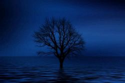 片思い占い│ファイナル鑑定！長すぎる片思い最終決着！～この恋が動き出す日～