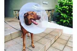 夢占い・夢診断│恥をかかせる夢は何を暗示している？