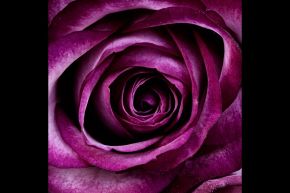 誕生日占い│【完全無料】誕生日占い≪相性≫から見る二人の関係～最終章～