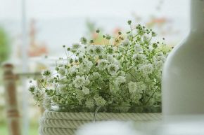 占いコラム│【運命数2さん専用！】運命の相手と出会う日～本気婚活占