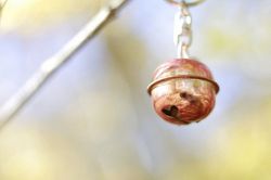 夢占い・夢診断│鈴の夢は何を暗示している？