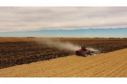 夢占い・夢診断│農場の夢は何を暗示している？