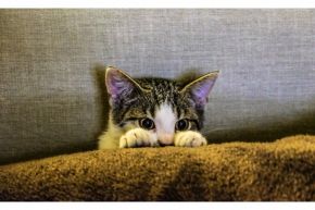 恋愛占い│今から知りたい恋愛占い◇この先３か月、好きな人との恋の進展状況は？