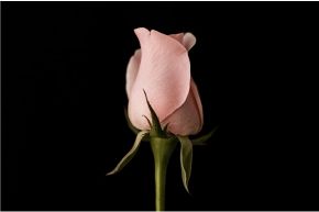 不倫占い│不倫占いでついに決断！▼二人の関係が変わるターニングポイント