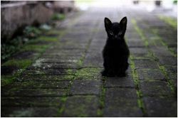 誕生日占い│好きな人の結婚…阻止したい！邪魔したい！まだ間に合う◆覚悟の誕生日占い