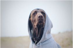 片思い占い│片思いあの人の本音がわかる「裏の顔」５選◆さちこいＡＩ鑑定