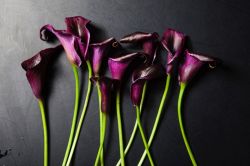 復縁占い│本当はあなたに伝えたかった……。彼が告げずに終わった「言葉」とは？