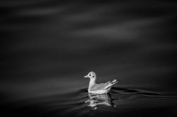 復縁占い│2人の恋の終焉……あれからあの人はどんなことを想いながら過ごしている？