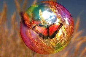 占いコラム│永遠不滅の愛はある？【運命数1が導く】未来の結婚相手