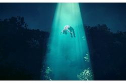 夢占い・夢診断│さらう夢は何を暗示している？