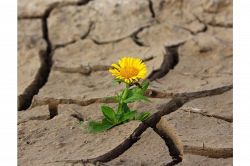 人生占い│現在の苦しい時期も、あなたにとってこんな意味があります。