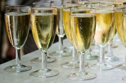 タロット占い│出かける前に占って！今日の食事会◆【恋】に繋がる?