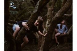 夢占い・夢診断│木に登る夢は何を暗示している？ | シンボルの意味