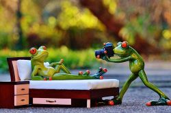 夢占い・夢診断│モデルの夢は何を暗示している？