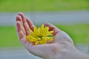 占いコラム│永遠不滅の愛はある？【運命数7が導く】未来の結婚相手