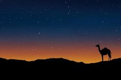 夢占い・夢診断│夜の夢は何を暗示している？