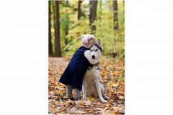 夢占い・夢診断│抱きつかれる夢は何を暗示している？