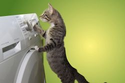 夢占い・夢診断│洗濯機・洗濯物の夢は何を暗示している？