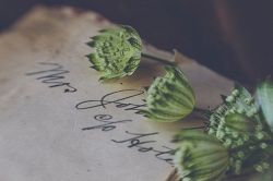 恋愛占い│『恋愛モードはお休み中』そんなあなたを恋愛対象として見ている異性はいる？