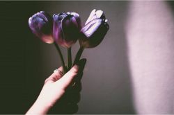 タロット占い│辛口注意～あの人にとっての私…恋人候補or友達orどちらにも入らない？あの人はどう思っているか…読み解きます