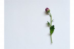 片思い占い│脱・片思い占い★この片思いに決着！告白したいけれど、どうすれば良い？