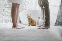 恋愛占い│心のモヤモヤ明かします◆あの人が抱えている、2人の関係についての「不満」