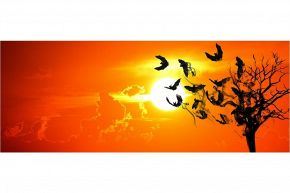 人生占い│原因は、何!?　あなたの人生を“つまらないもの”にしている根源