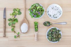 オフェリア・麗の星座+血液型占い│太陽星座が乙女座～第6ハウスが水瓶座～