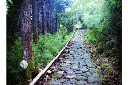 夢占い・夢診断│石畳の夢は何を暗示している？