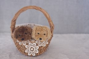 誕生日占い│生年月日だけで当たる！誕生日占い◆二人が恋人になったときの関係性