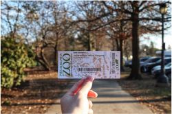 夢占い・夢診断│チケットの夢は何を暗示している？