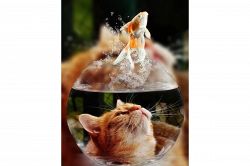 夢占い・夢診断│（自分が）食べられる夢は何を暗示している？