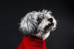 恋愛占い│『少しは気にしている？』あなたと一緒のとき、あの人は何を思っている？