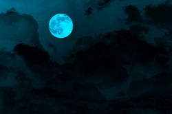 夢占い・夢診断│恐怖の夢は何を暗示している？