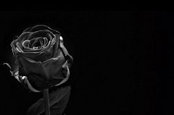 人生占い│「なぜこんなにつらいの？」今のこの時期があなたに与えている影響