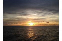 夢占い・夢診断│明け方の夢は何を暗示している？