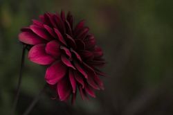 恋愛占い│縁切り恋愛占い△あの人との関係を終わらせるための最善の方法って？