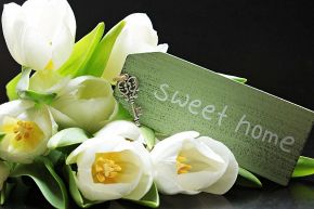 占いコラム│≪天秤座 vs 恋未来≫片思い占「二人が背負っている恋の宿命」と「結ばれる運命の日」特別鑑定