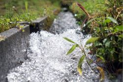 夢占い・夢診断│水路の夢は何を意味している？