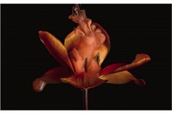 姓名判断│もう騙されない！【名前で不倫鑑定】今あの人が愛しているのは誰？